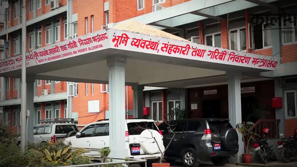 आइडियल यमुना हाम्रो सहकारी समस्याग्रस्त घोषित