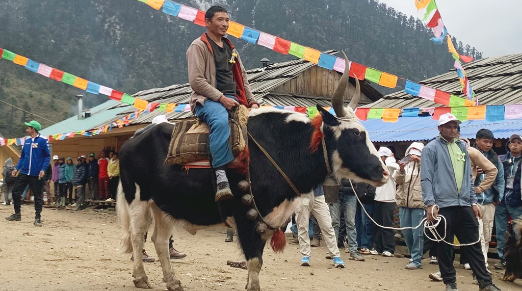 चौँरी पेशा संरक्षण गर्न प्रतियोगिता