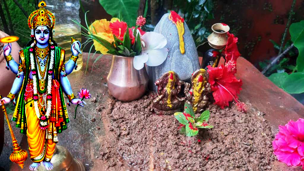 आज तुलसीको बिरुवा सारिँदै